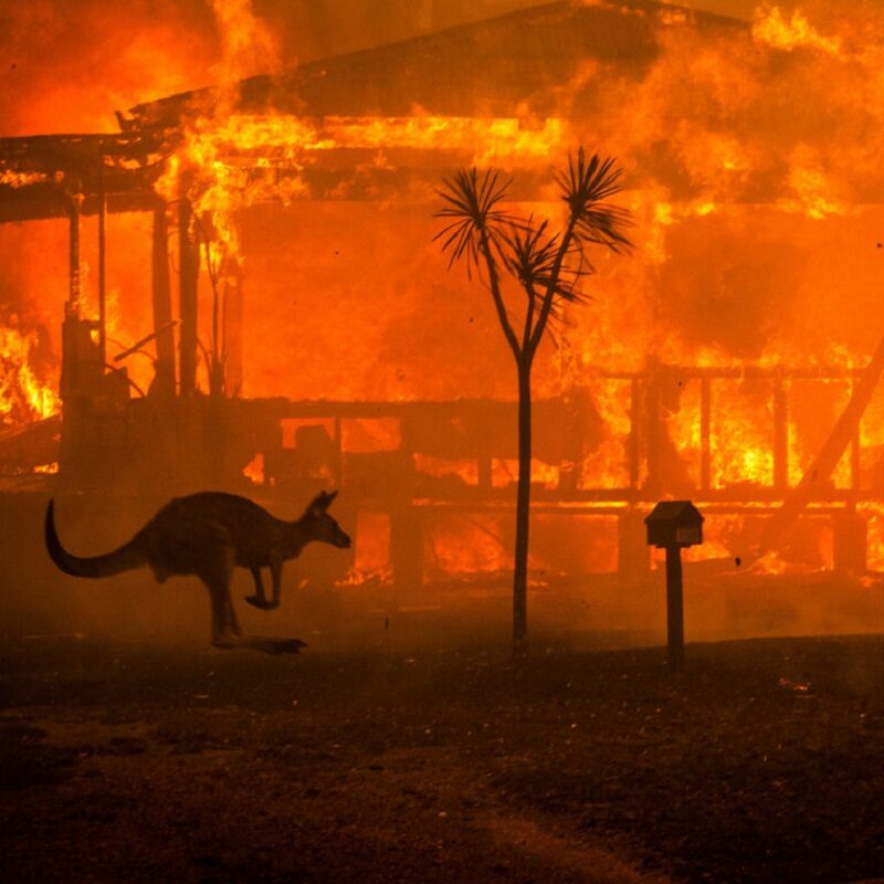 Incendi Australia, non solo siccità: le altre cause dell’apocalisse