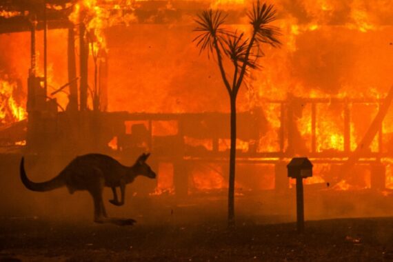 Incendi Australia, non solo siccità: le altre cause dell’apocalisse