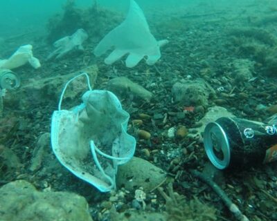 Mascherine nuovo pericolo per il mare: rischiano di superare le meduse