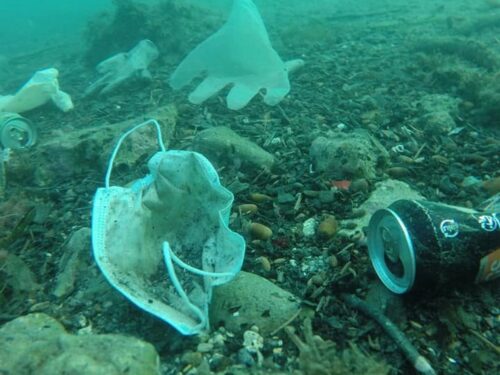 Mascherine nuovo pericolo per il mare: rischiano di superare le meduse