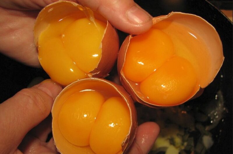 Doppio tuorlo d’uovo: porta fortuna o sfortuna? Cosa dicono leggende
