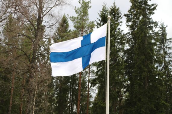 Guerra in Ucraina provoca strage di alberi in Finlandia
