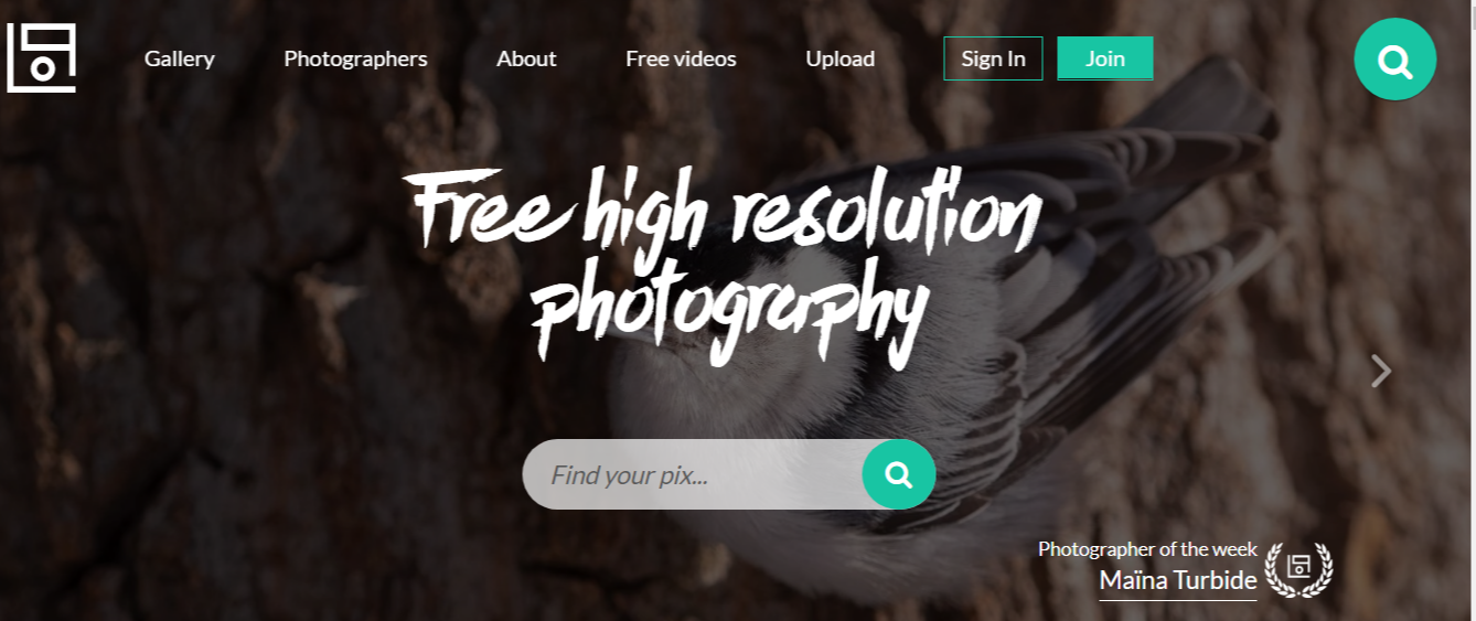 migliori siti per immagini e foto gratuite e senza copyright di natura