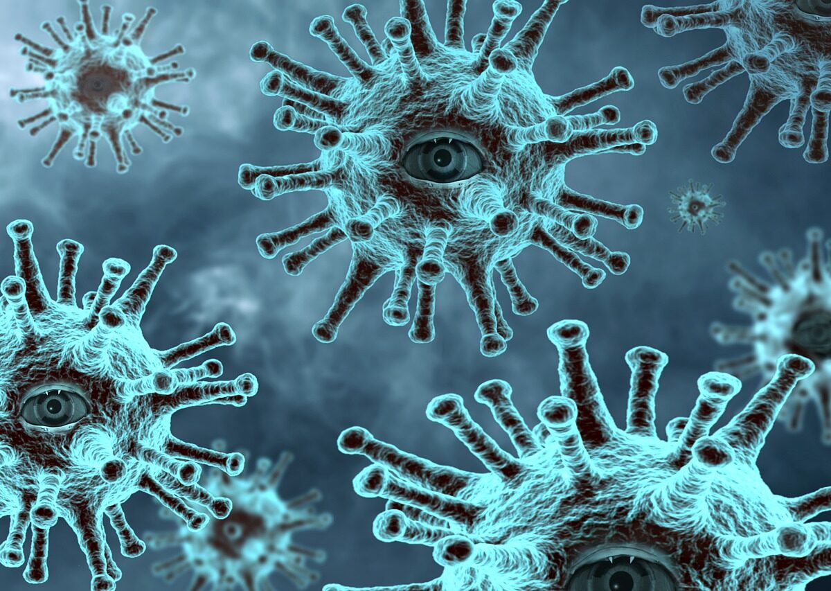 Langya, nuovo virus dalla Cina: colpisce fegato e reni