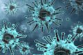 Langya, nuovo virus dalla Cina: colpisce fegato e reni
