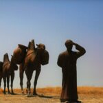 Mondiali in Qatar: il vergognoso sfruttamento dei cammelli