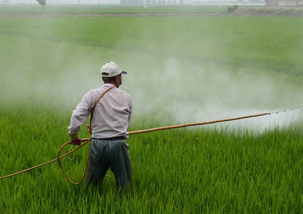 Pesticidi nel cibo: nascosti i danni alla salute rivelati in test