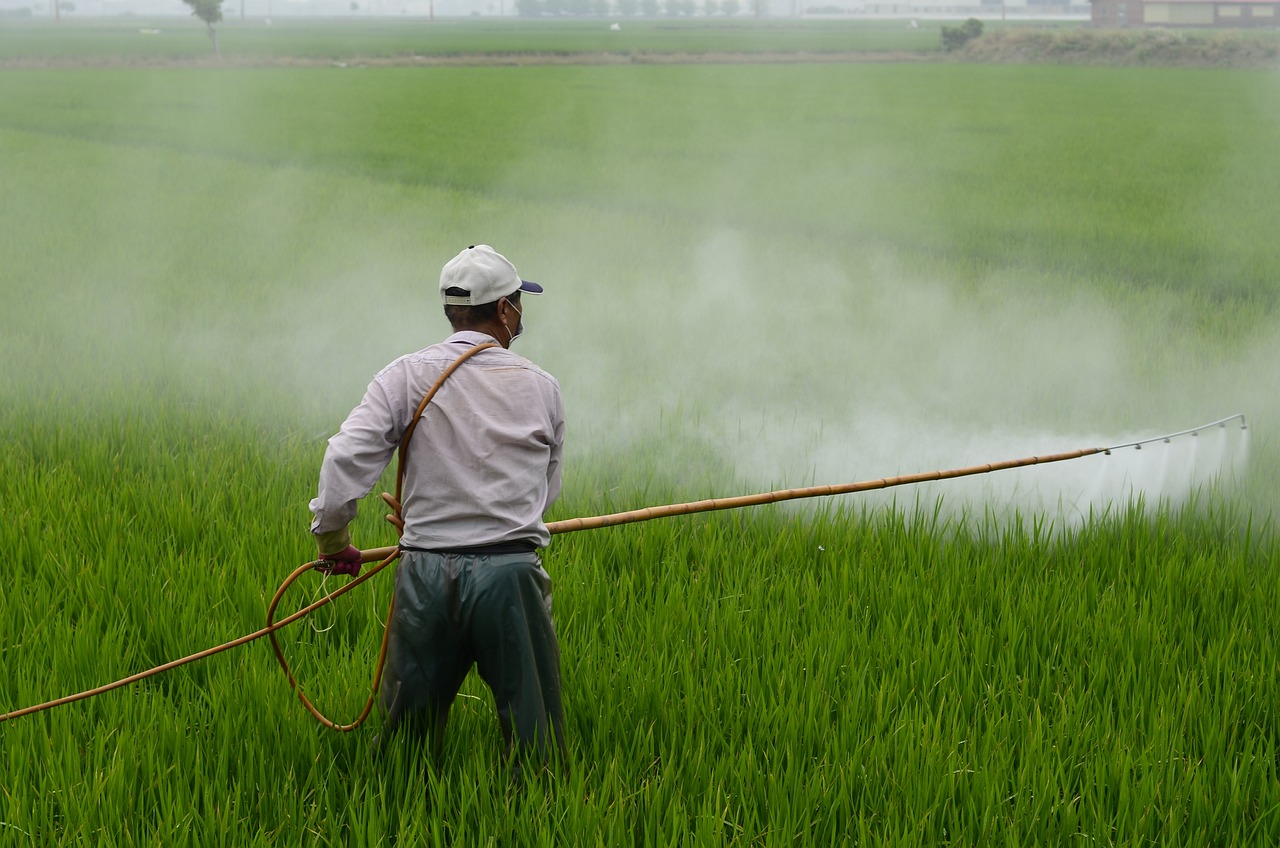 Pesticidi nel cibo: nascosti i danni alla salute rivelati in test