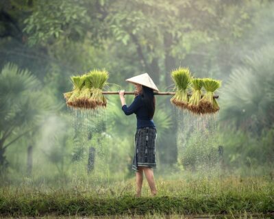 Vietnam, la nuova tigre asiatica tra luci e ombre