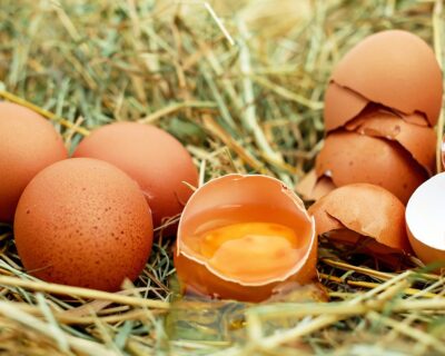 Italia “invasa” da polli e uova ucraini nei supermercati: non sarebbero sicuri