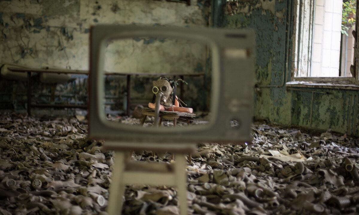 Chernobyl, dai lupi agli uccelli: come le radiazioni hanno mutato gli animali