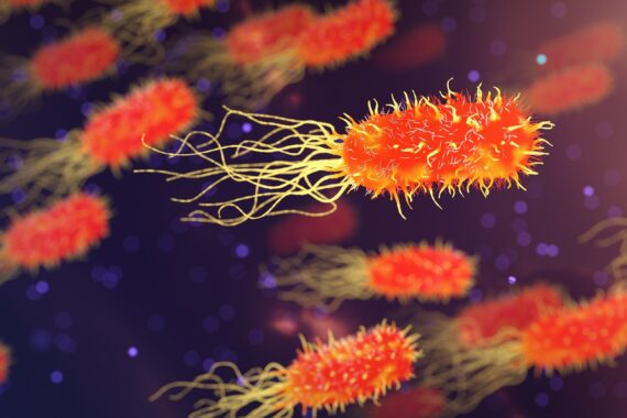 Batteri specchio troppo pericolosi: biologi chiedono stop alla ricerca