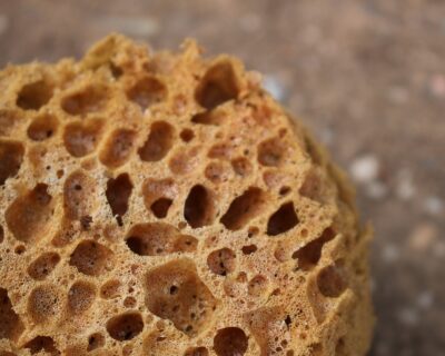 Spugna e nanoparticelle per ripulire i corsi d’acqua