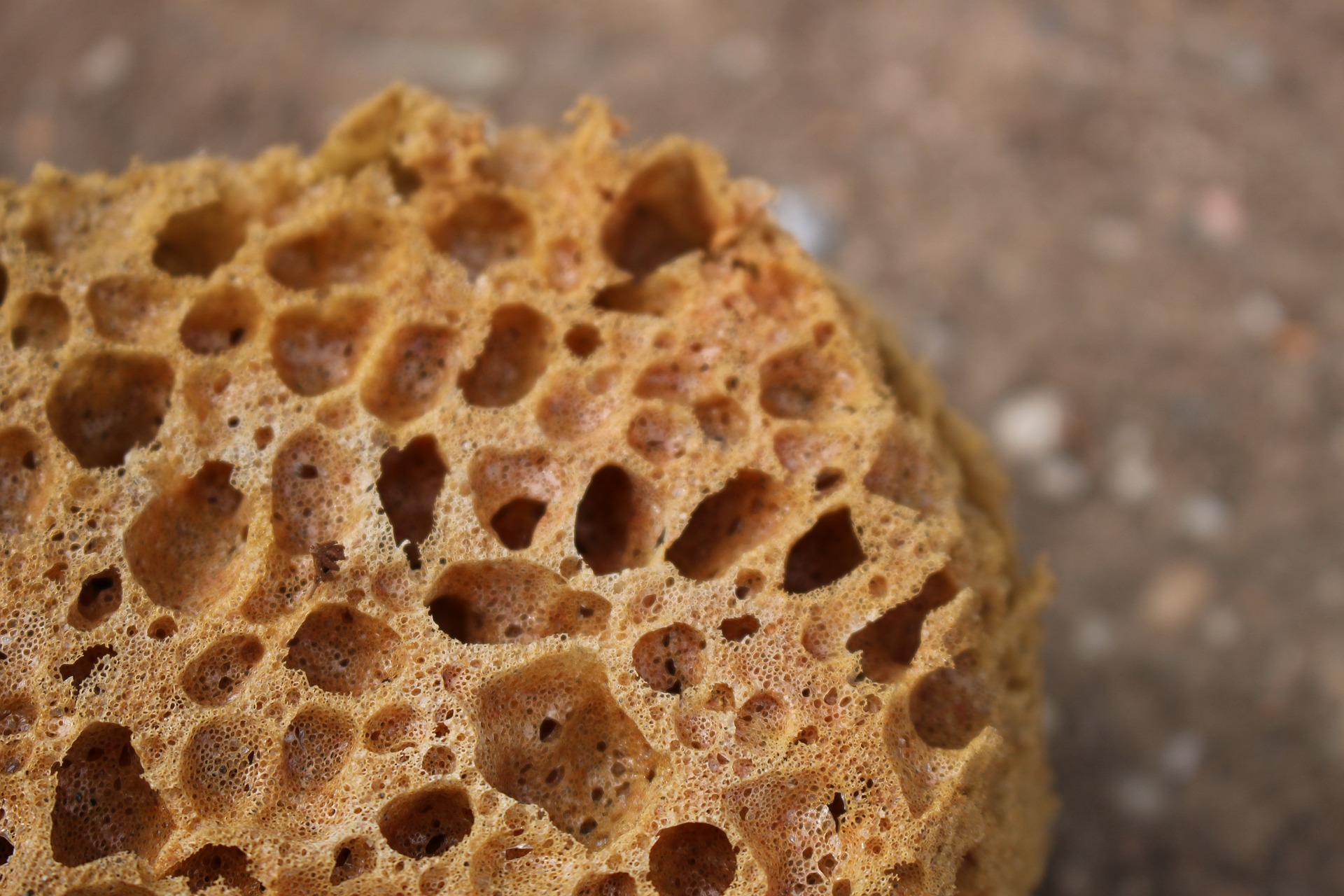 spugna e nanoparticelle per ripulire i corsi d8217acqua