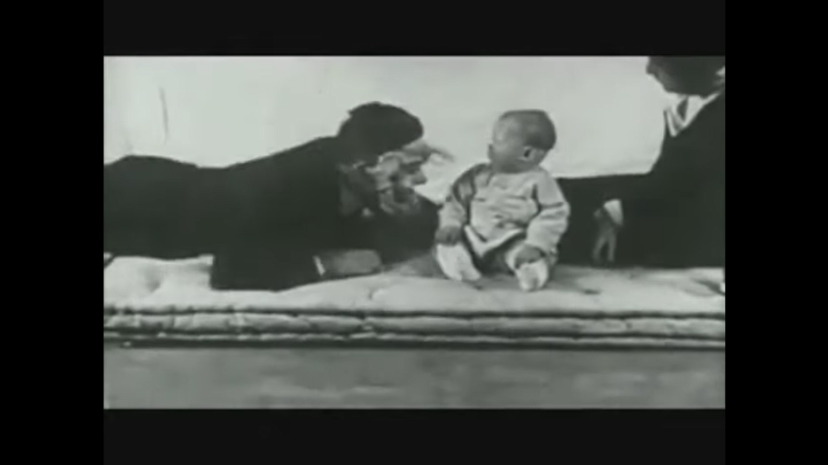 l8217esperimento del piccolo albert quando fu creata la paura