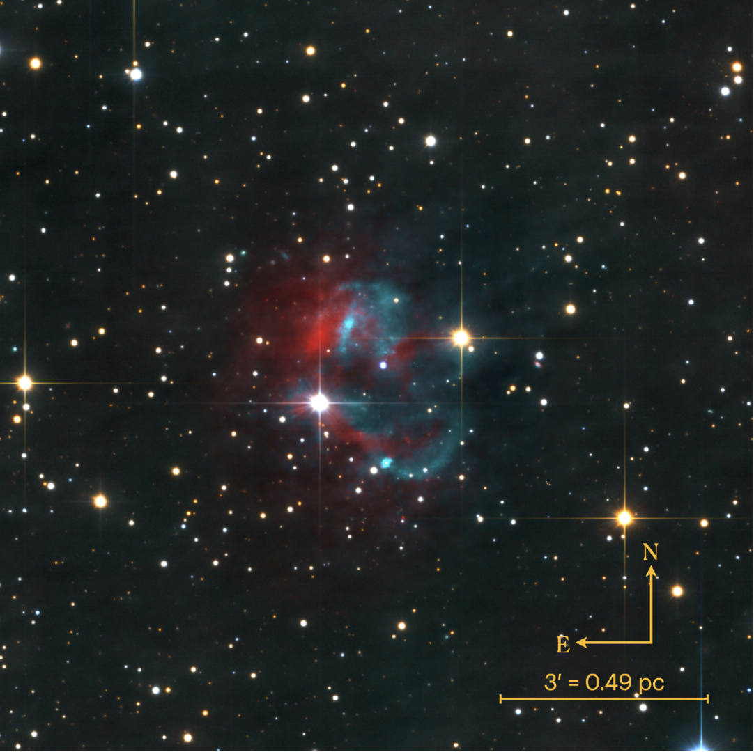 ASASSN 19ds: quando il cielo ci guarda con occhi spettrali ASASSN 19ds: quando il cielo ci guarda con occhi spettrali