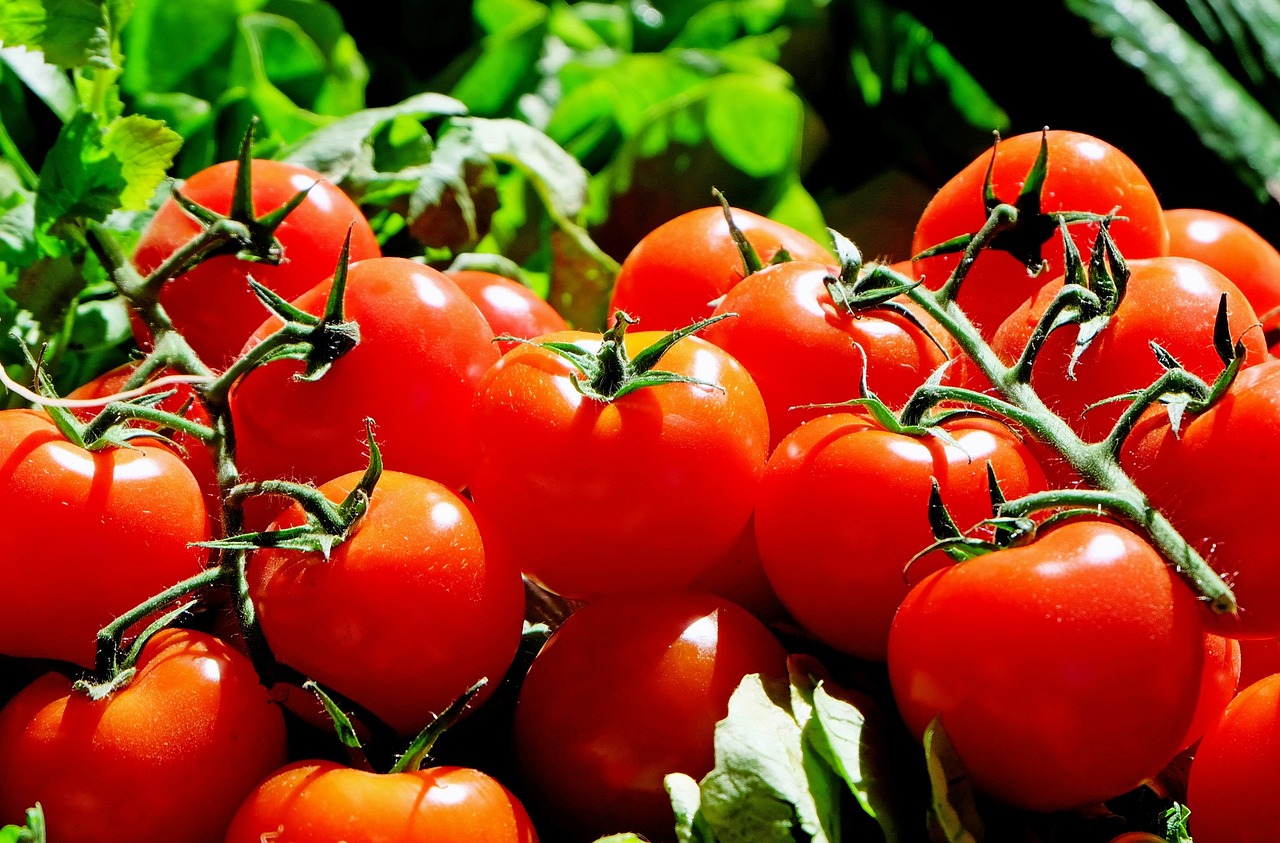pomodoro parkinson